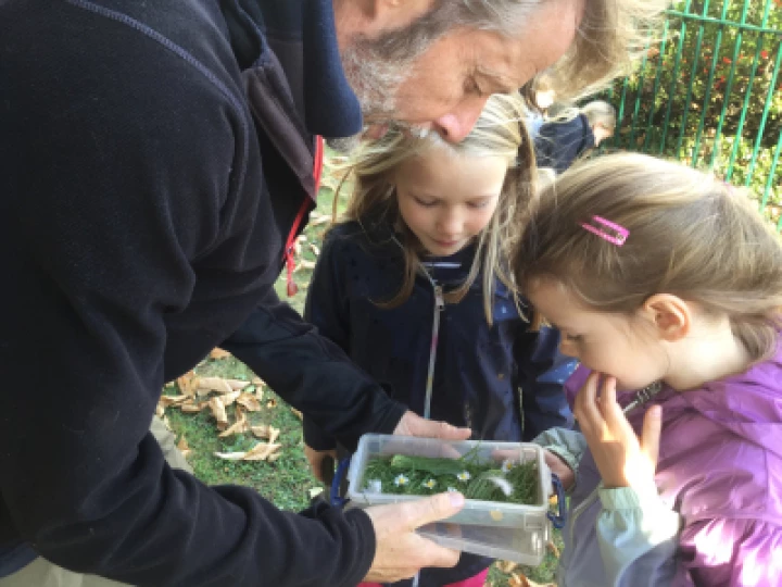 Minibeasts 2