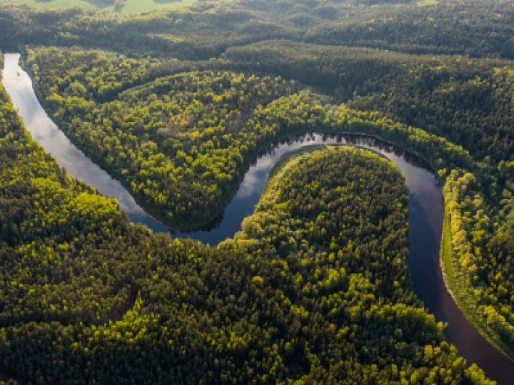 amazon river