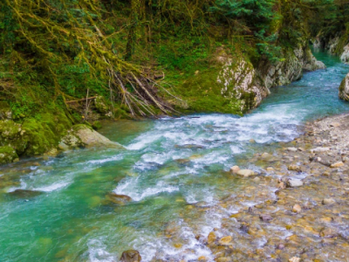 river-l