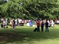 Crowds gather at Dodworth Garden Party