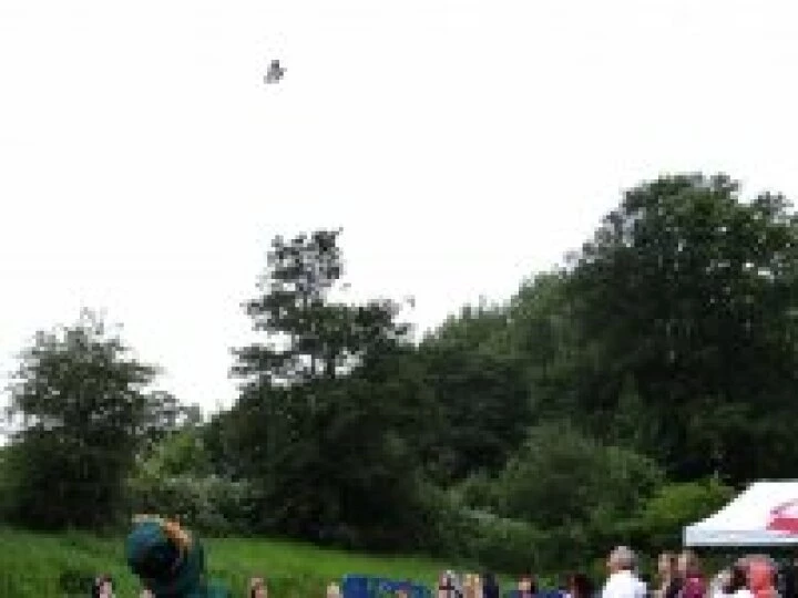 Minshull Madness 2015