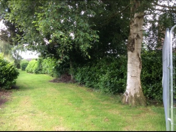 TCC Back Area 1