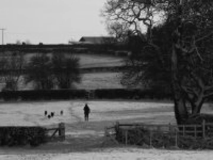 Winter walk b&w