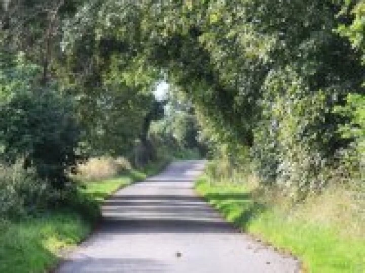 Lane