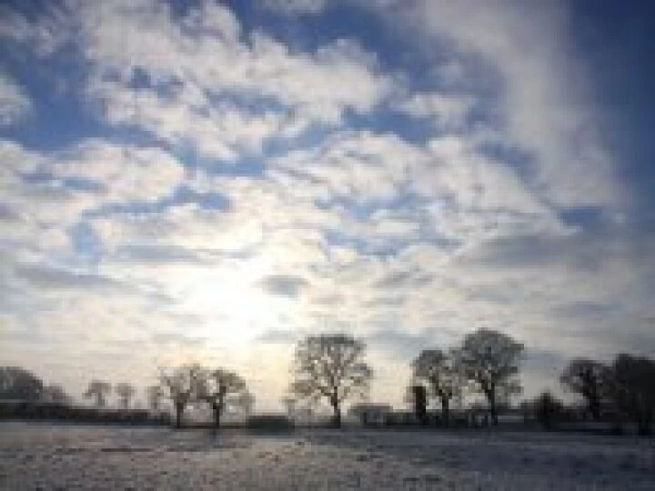 Frosty morning 2
