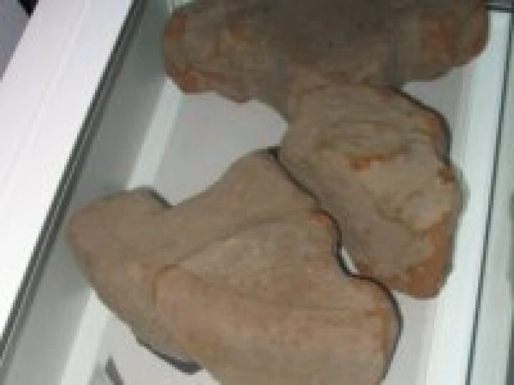 Saxon Cross in St Andrew's display