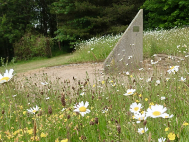 Flowers 11