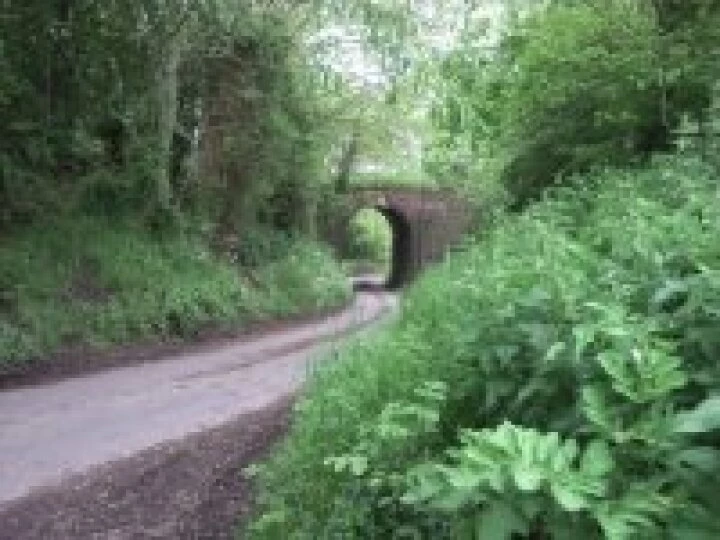 Mill Lane, Swanbach