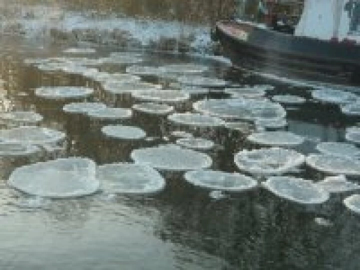 Ice 'waterlilies' at Audlem, January 2010