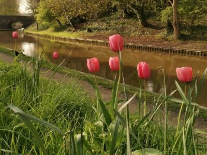 Canal Scenes
