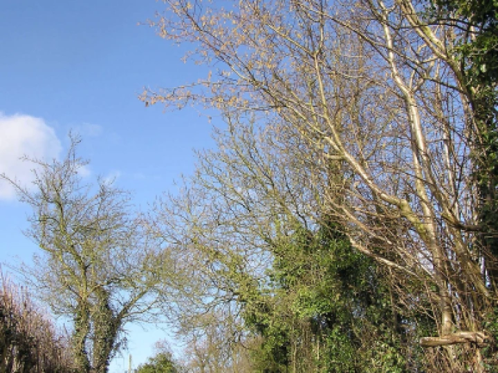 Greenway Lane