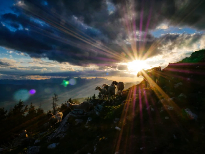 jaka-skrlep-kfv21yEf-6Y-unsplash