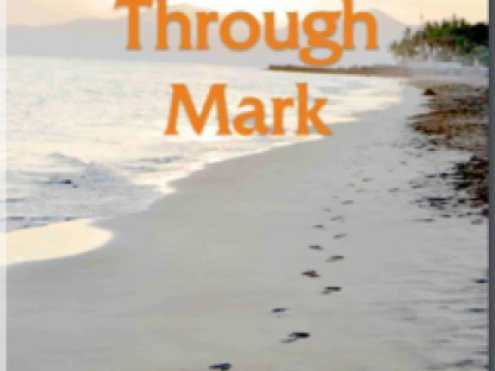 Pam Mark