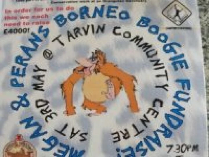 Borneo Boogie