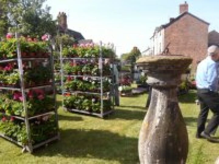 2014 Plant Sale