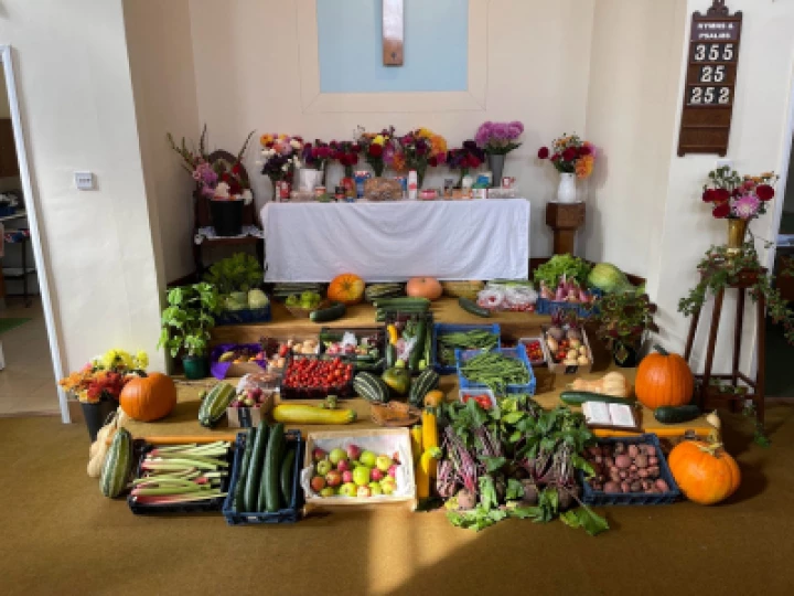 Harvest 2022