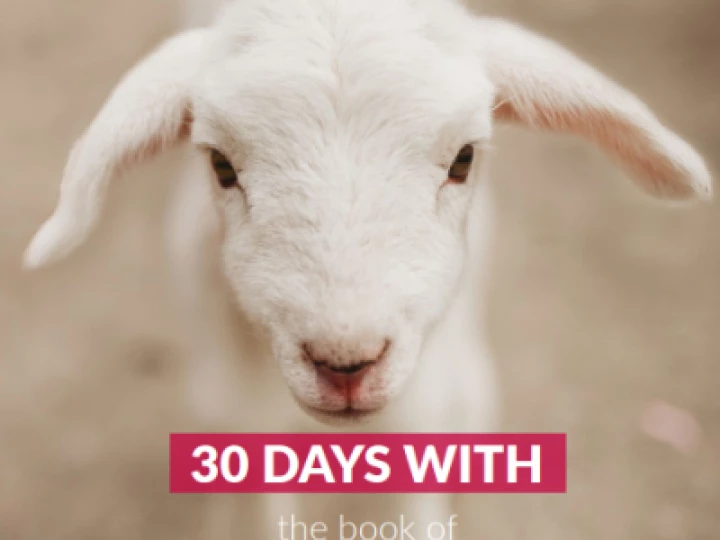 Bible Month