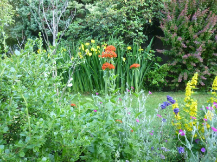 Flower Club Firs Garden June 2023 MD P1040288