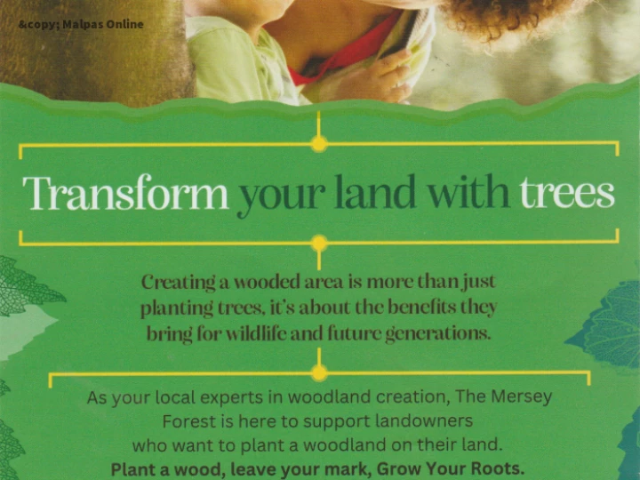Transform Your Land 1