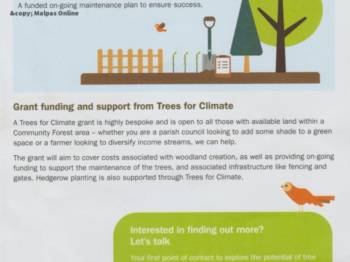 Why Trees 2