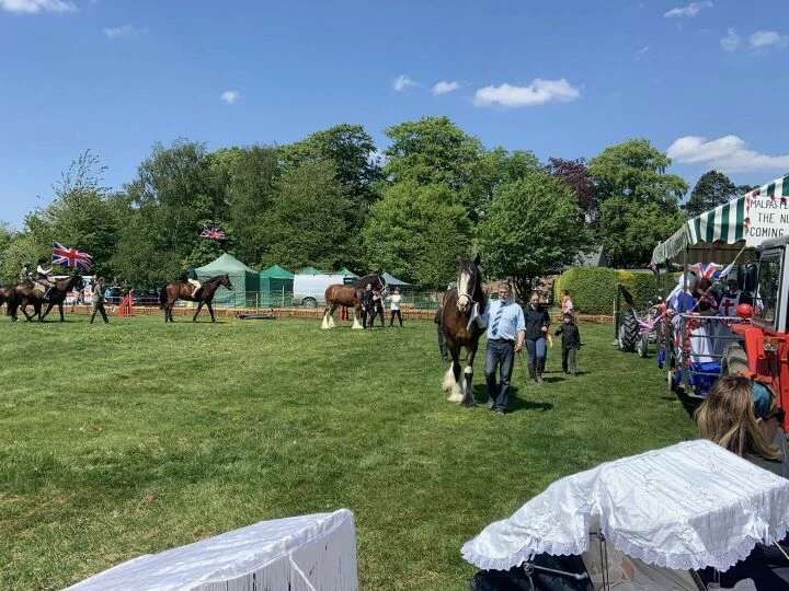 Horses Nd 1