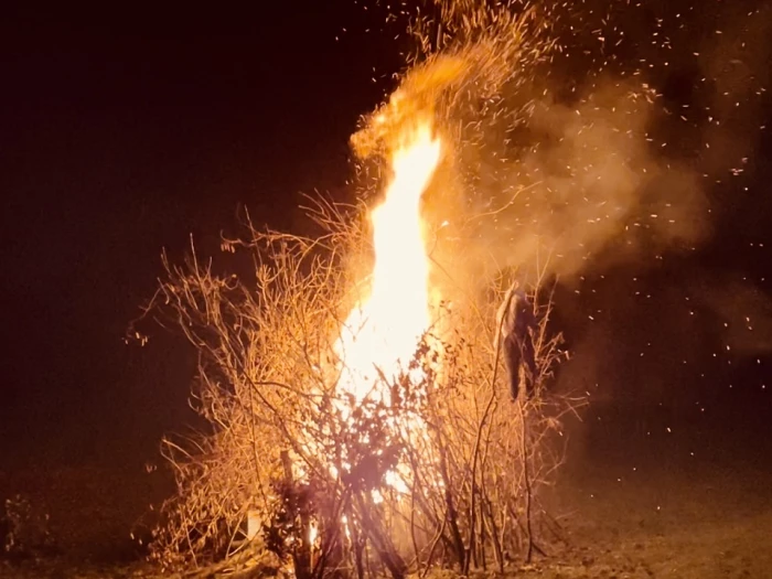 bonfire 2021