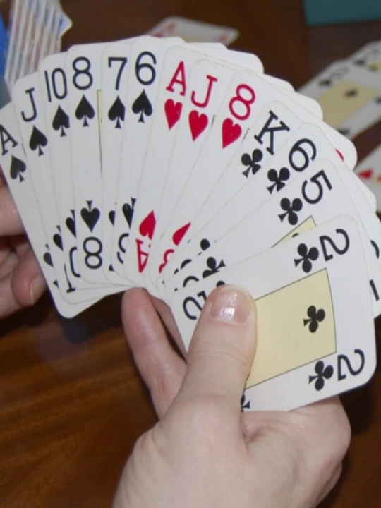 bridgehand