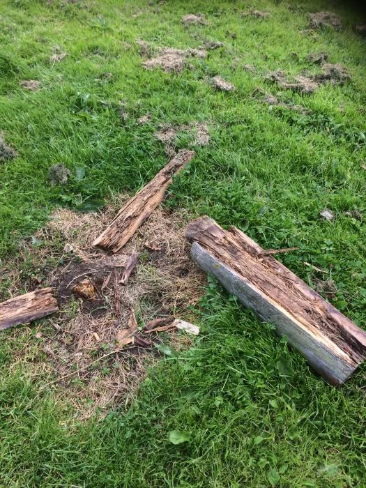 broken fence 2 1