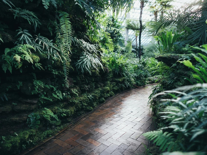 brown brick garden pathway