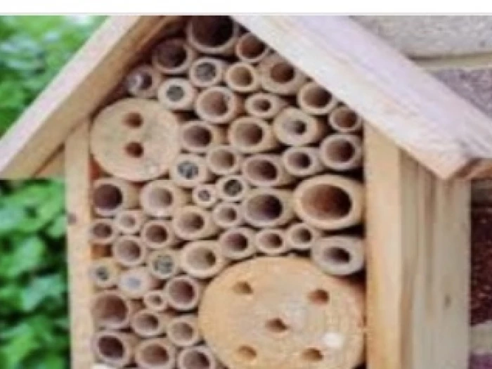 bug hotel