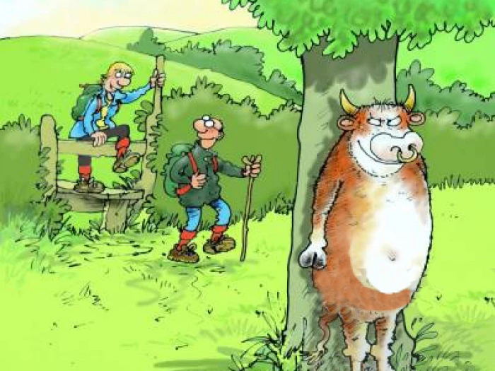bull ambush