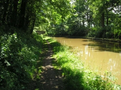 canal at coxbank