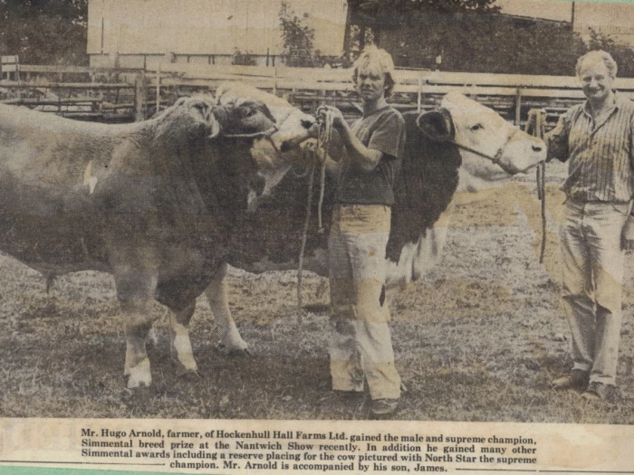 cattle show