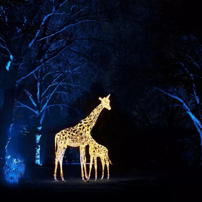 ch zoo new light trail