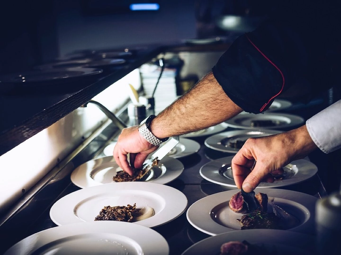 chef cook plate dish meat preparing desert hands watch kitchen blue kitchen nature blue cooking blue desert blue meat blue watch blue chef