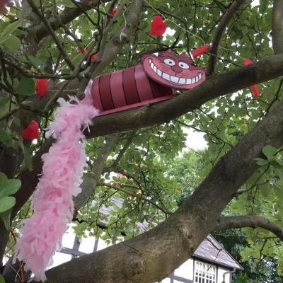 cheshire cat madness