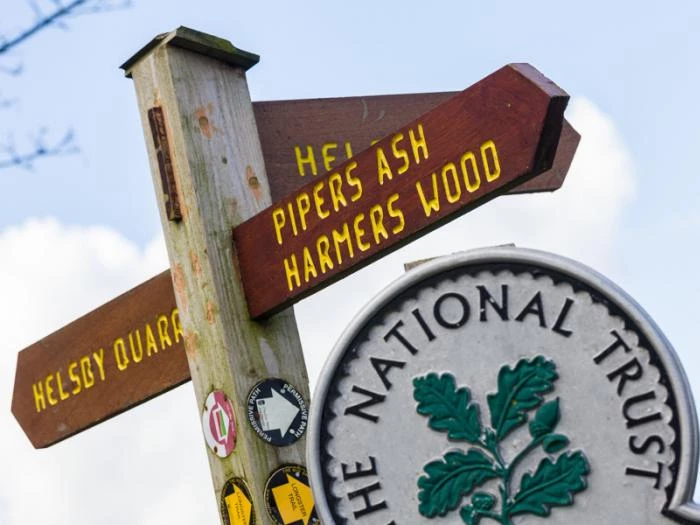 cheshire39s sandstone ridge   woodland on helsby hill 3