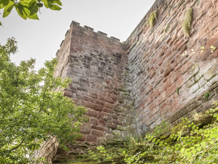 chester city walls