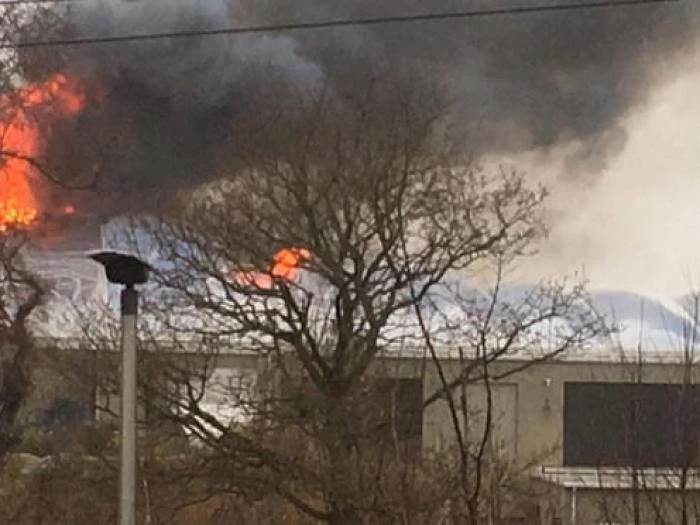 chester zoo fire