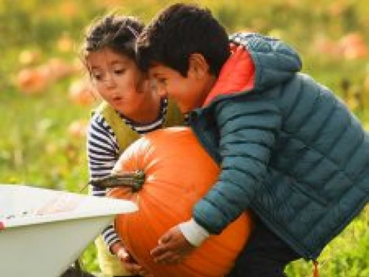 childrenwithpumpkins226x170
