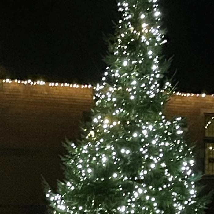 christmas lights