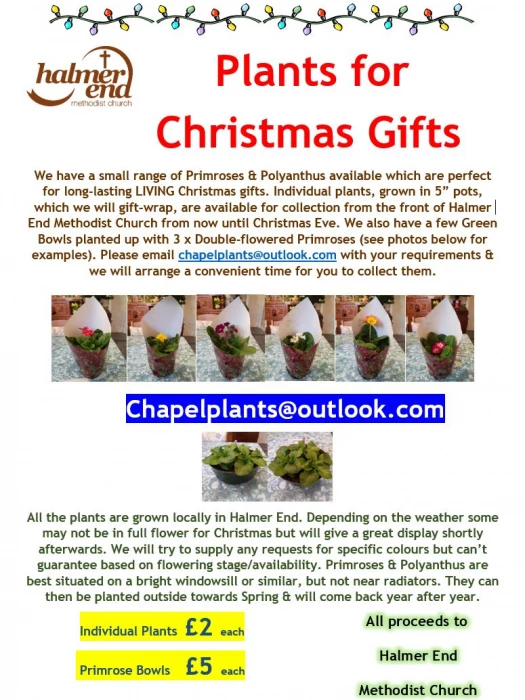 christmas plants flyer201208