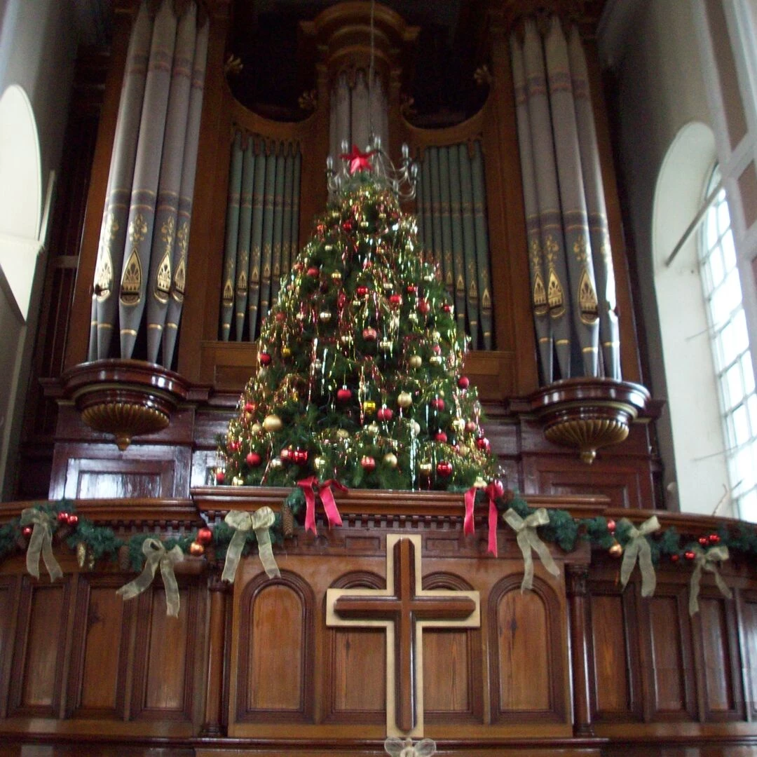 christmas tree