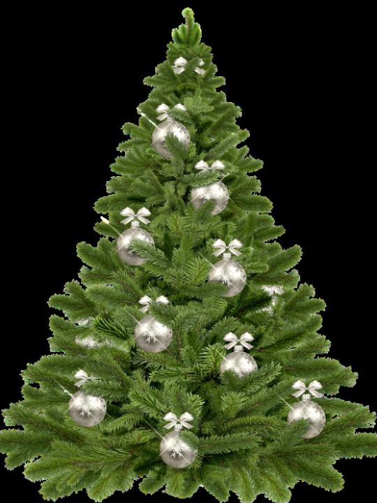 christmastree1853582960720
