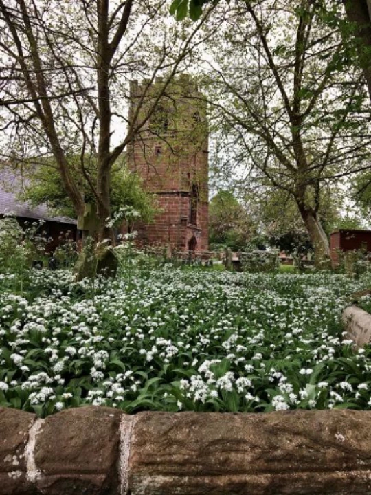 churchyard5