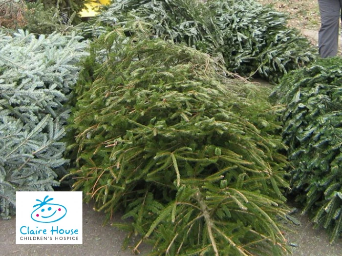 claire house christmas tree recycling