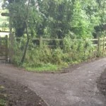 community woodland