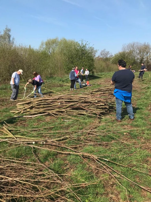 coppice 3