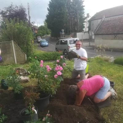 creating madelaines rose garden 1