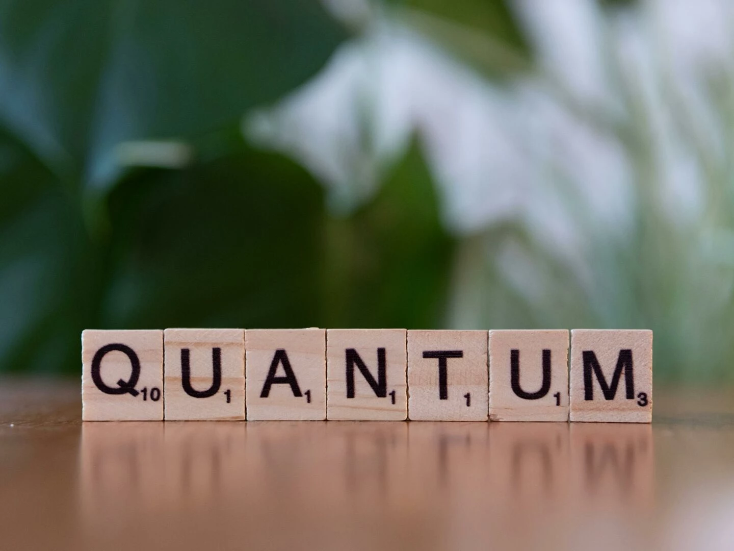 creative depiction of 39quantum39 using wooden letter blocks on a blurred natural background